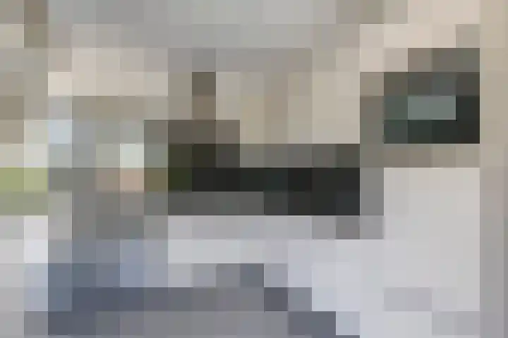 Sadatstraat 12 Zetten thumbnail 25