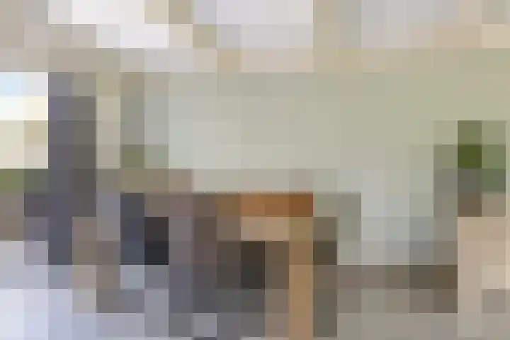 Sadatstraat 12 Zetten thumbnail 32