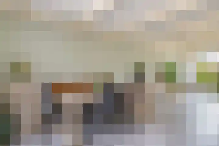 Sadatstraat 12 Zetten thumbnail 33
