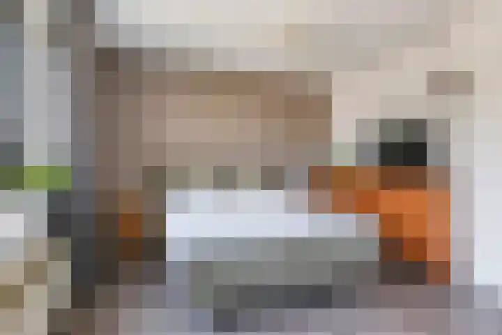 Sadatstraat 12 Zetten thumbnail 38