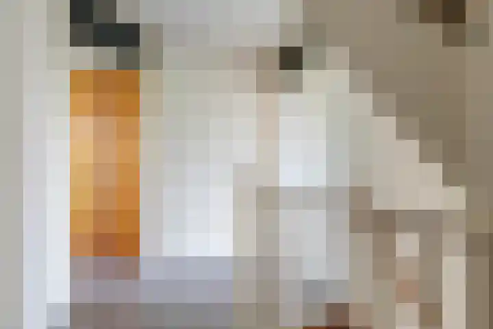 Sadatstraat 12 Zetten thumbnail 50