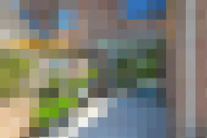 Sadatstraat 12 Zetten thumbnail 60