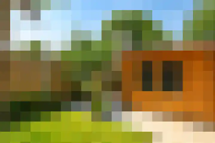Sadatstraat 12 Zetten thumbnail 69
