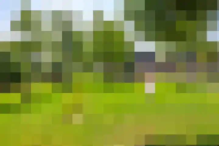 Sadatstraat 12 Zetten thumbnail 71