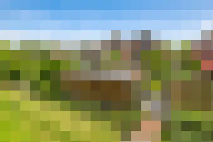 Sadatstraat 12 Zetten thumbnail 72