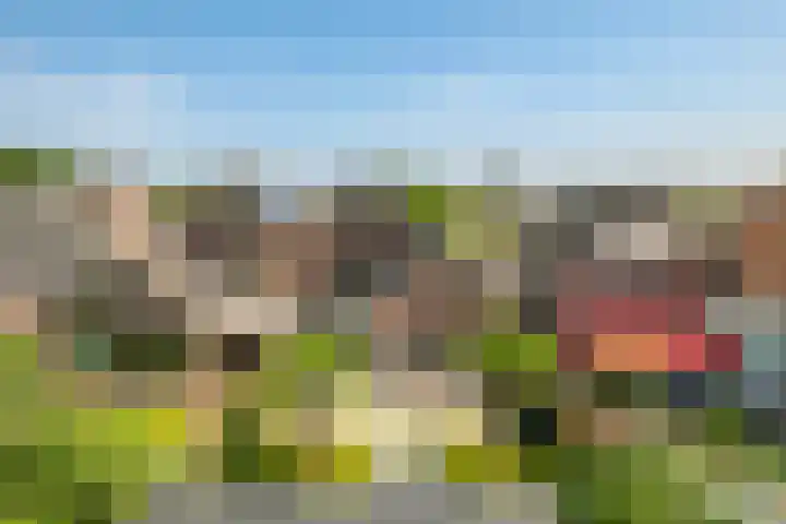 Sadatstraat 12 Zetten thumbnail 73