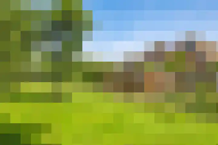 Sadatstraat 12 Zetten thumbnail 74