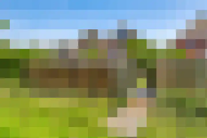 Sadatstraat 12 Zetten thumbnail 75