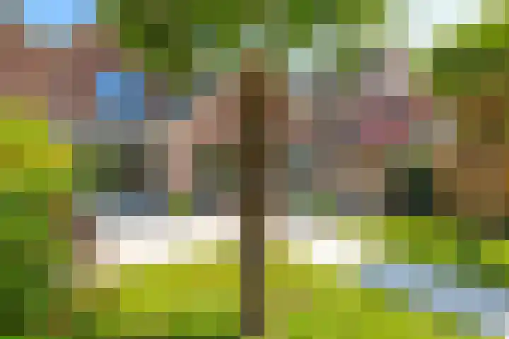 Sadatstraat 12 Zetten thumbnail 78