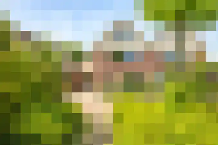 Sadatstraat 12 Zetten thumbnail 8