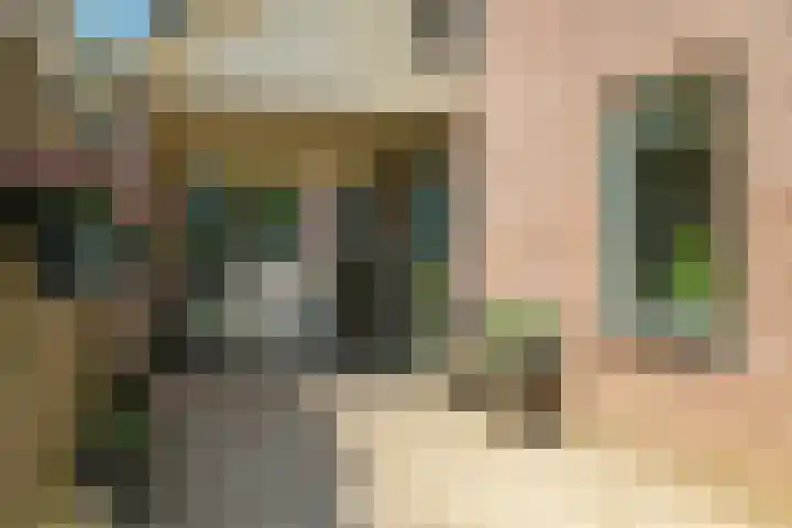 Sadatstraat 12 Zetten thumbnail 81
