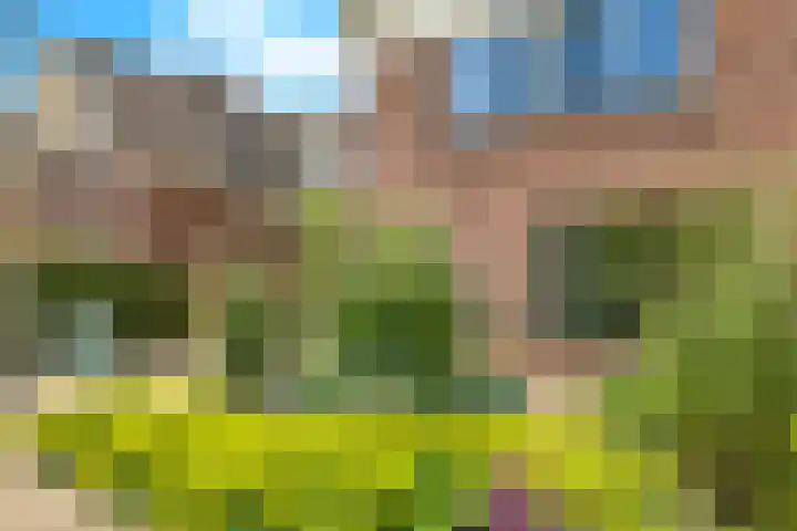 Sadatstraat 12 Zetten thumbnail 84