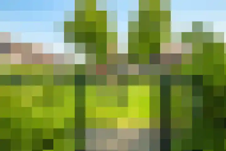 Sadatstraat 12 Zetten thumbnail 90