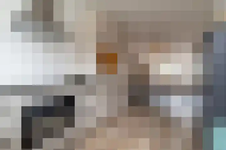 Sadatstraat 14 Veenendaal thumbnail 12