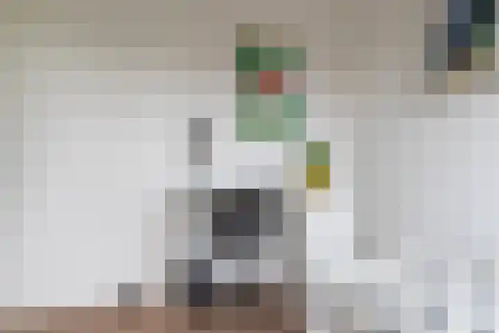 Sadatstraat 14 Veenendaal thumbnail 23