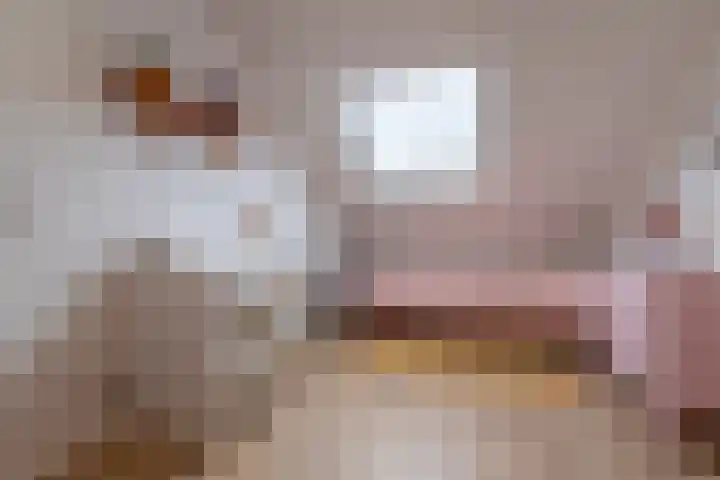 Sadatstraat 14 Veenendaal thumbnail 33