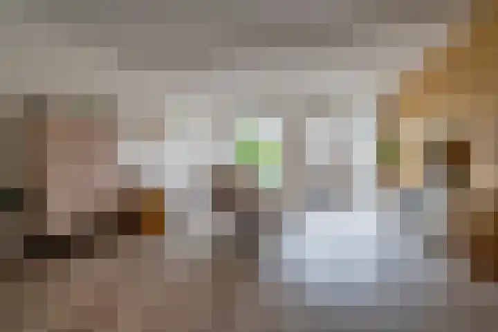Sadatstraat 14 Veenendaal thumbnail 4
