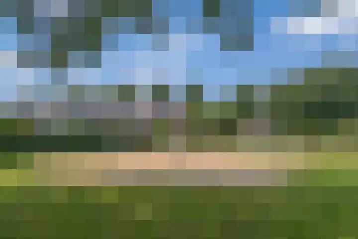 Sadatstraat 14 Veenendaal thumbnail 41