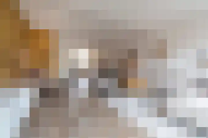 Sadatstraat 14 Veenendaal thumbnail 7