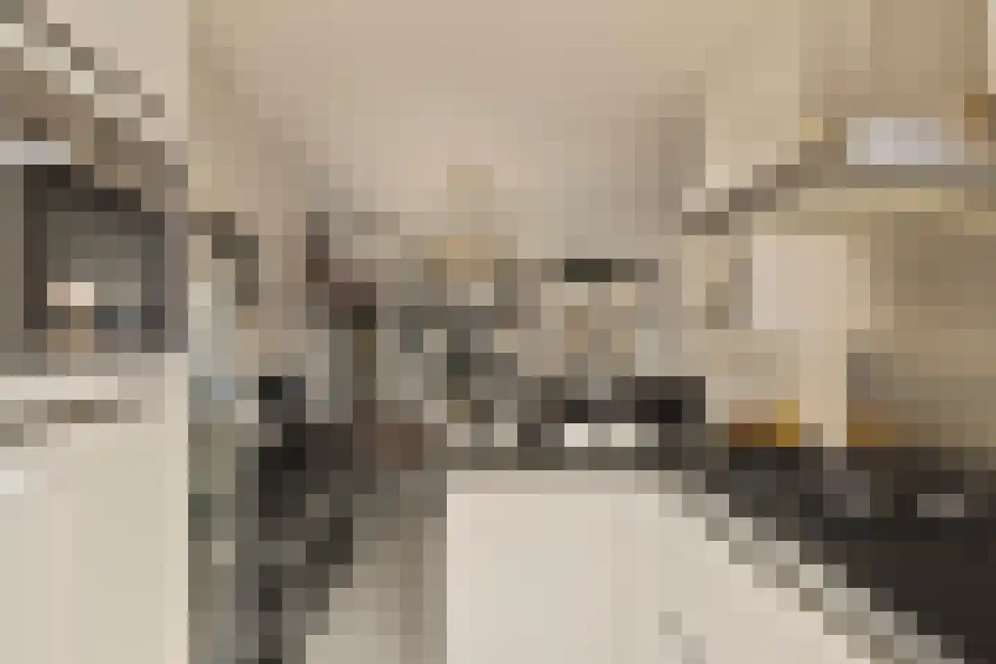 Sadatstraat 6 Veenendaal thumbnail 12
