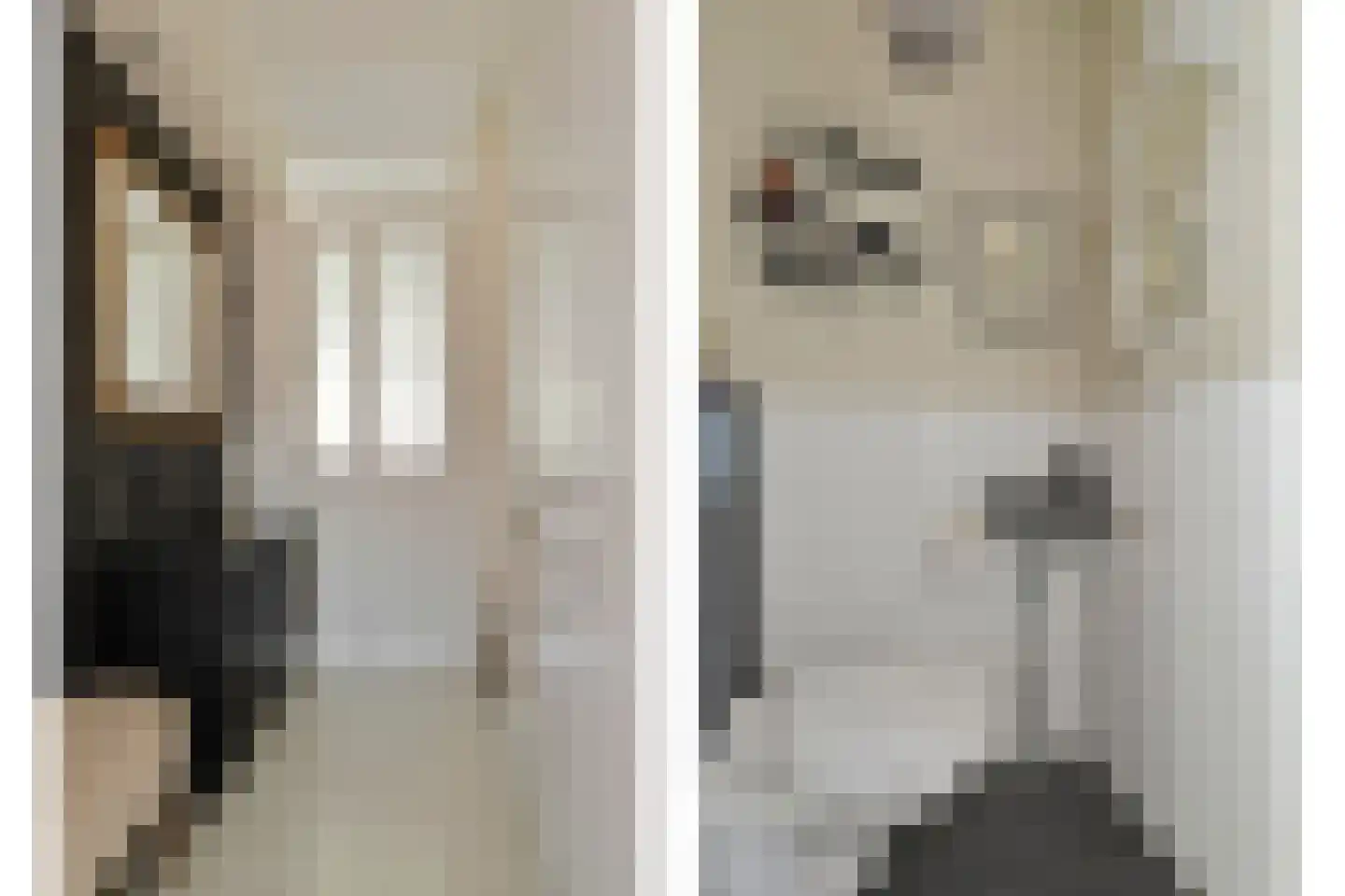 Sadatstraat 6 Veenendaal thumbnail 6