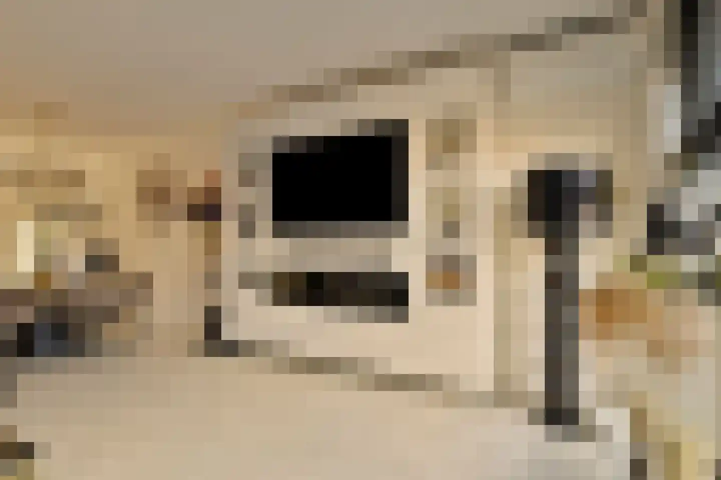 Sadatstraat 6 Veenendaal thumbnail 8