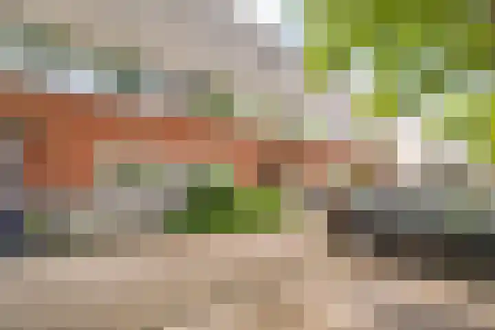 Sadatweg 57 Delft thumbnail 7