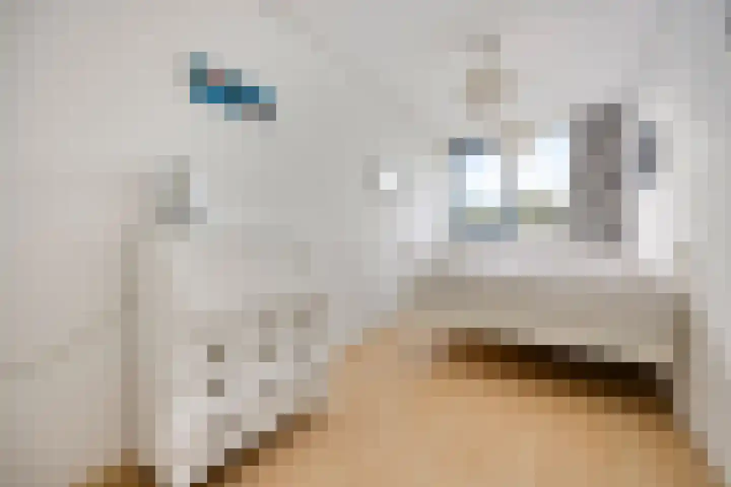 Sadatweg 89 Delft thumbnail 34