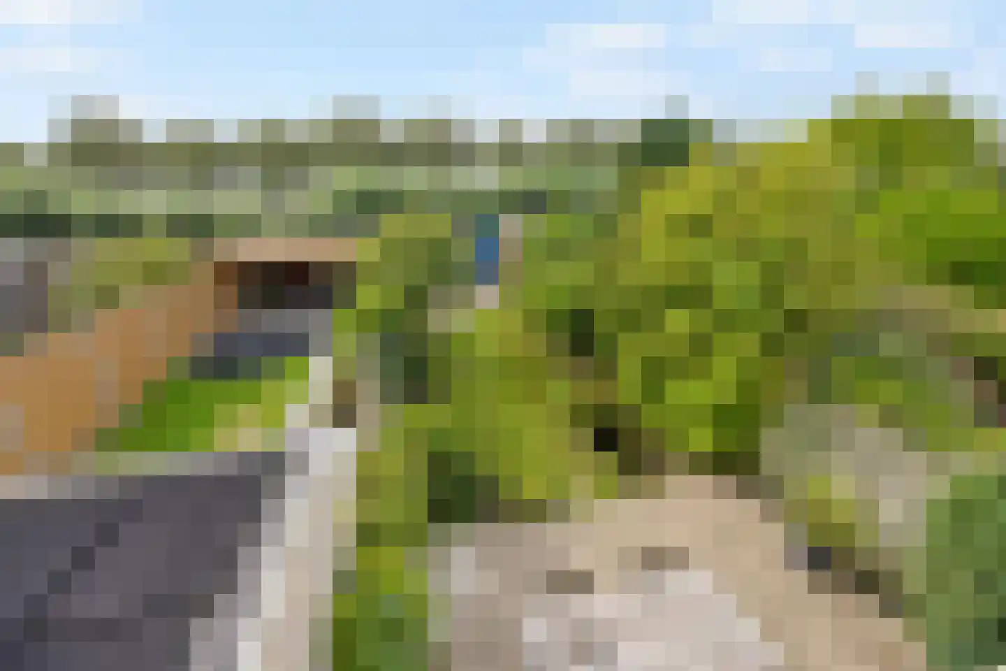Sadatweg 89 Delft thumbnail 42