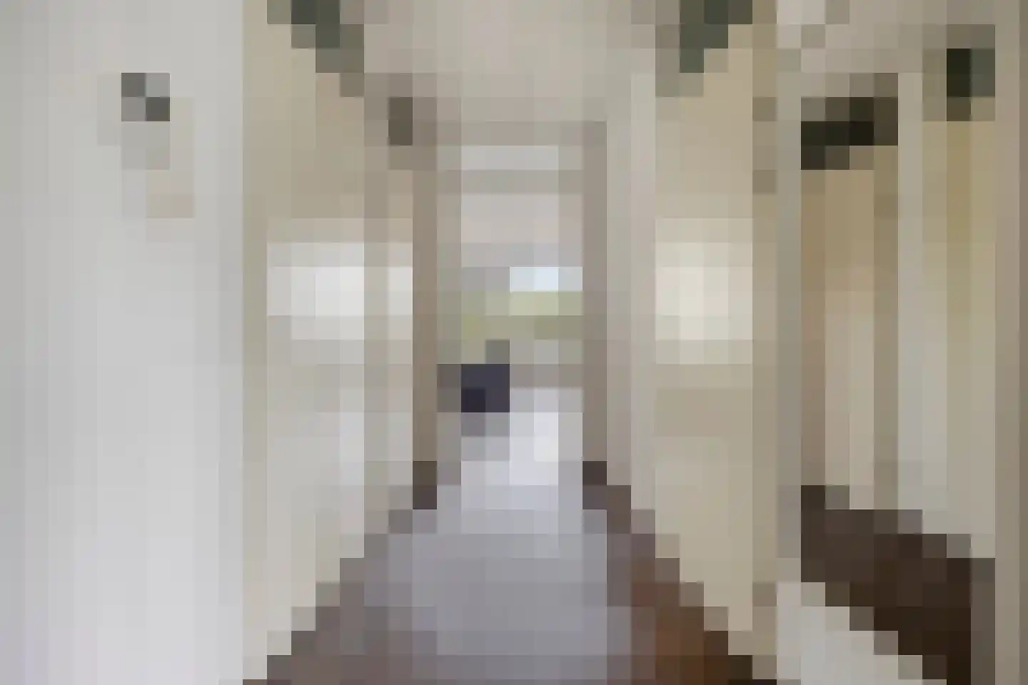 Sadatweg 97 Delft thumbnail 9