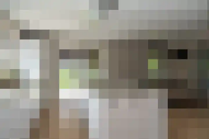 Sadelijnstraat 12 Wildervank thumbnail 18