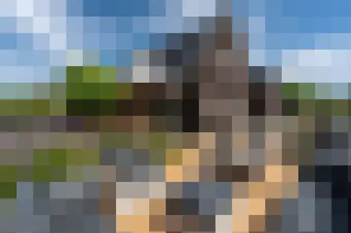 Sadelijnstraat 12 Wildervank thumbnail 38