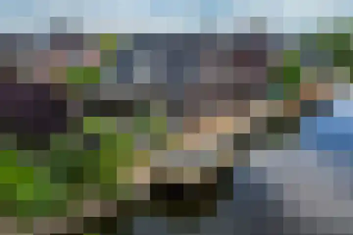 Sadelijnstraat 12 Wildervank thumbnail 62