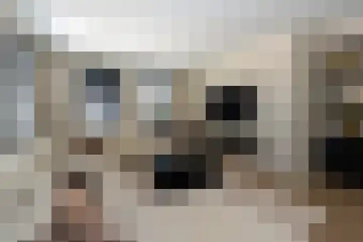 Sadelijnstraat 12 Wildervank thumbnail 9