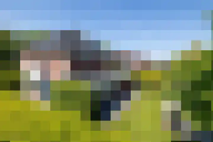 Sadelijnstraat 15 Wildervank thumbnail 10