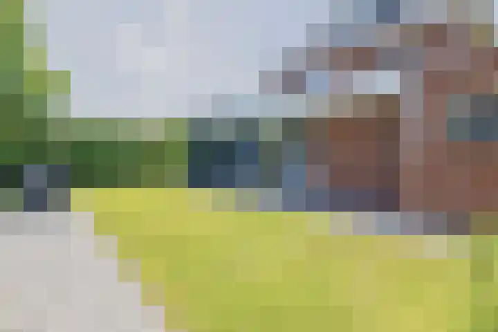 Sadelijnstraat 15 Wildervank thumbnail 30