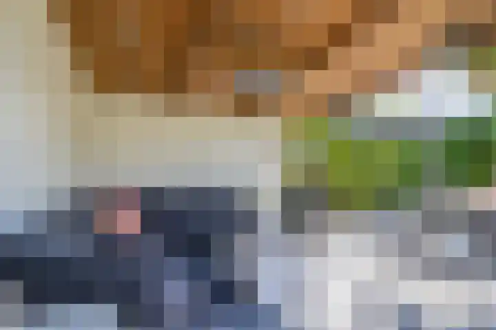Sadelijnstraat 15 Wildervank thumbnail 31