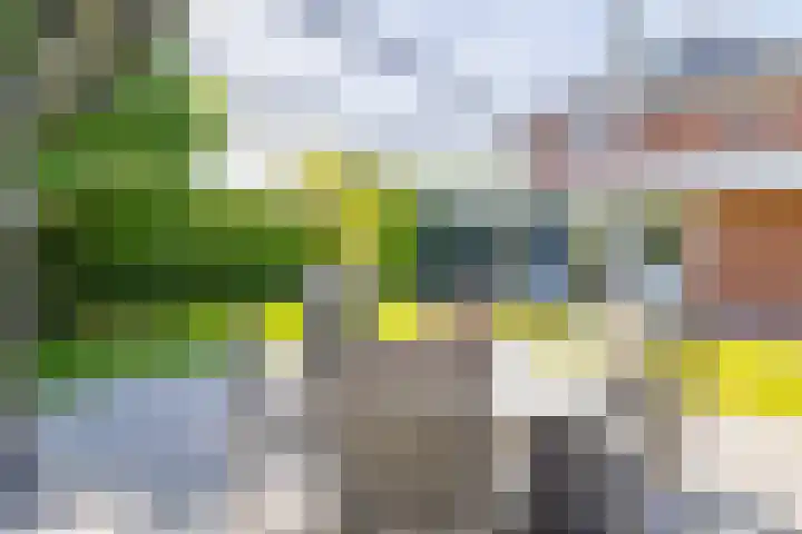 Sadelijnstraat 15 Wildervank thumbnail 32