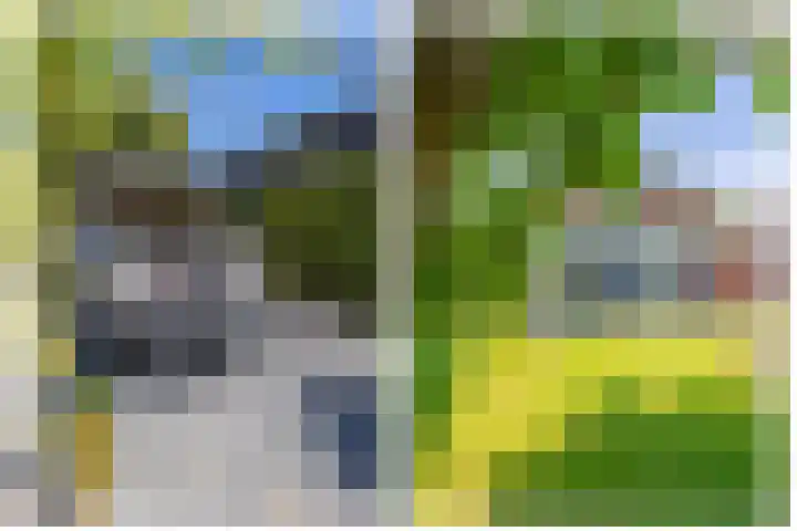 Sadelijnstraat 15 Wildervank thumbnail 33