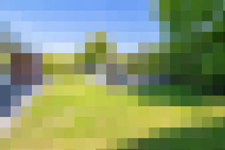 Sadelijnstraat 15 Wildervank thumbnail 34