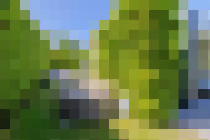 Sadelijnstraat 15 Wildervank thumbnail 35