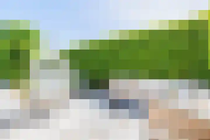 Sadelijnstraat 15 Wildervank thumbnail 36