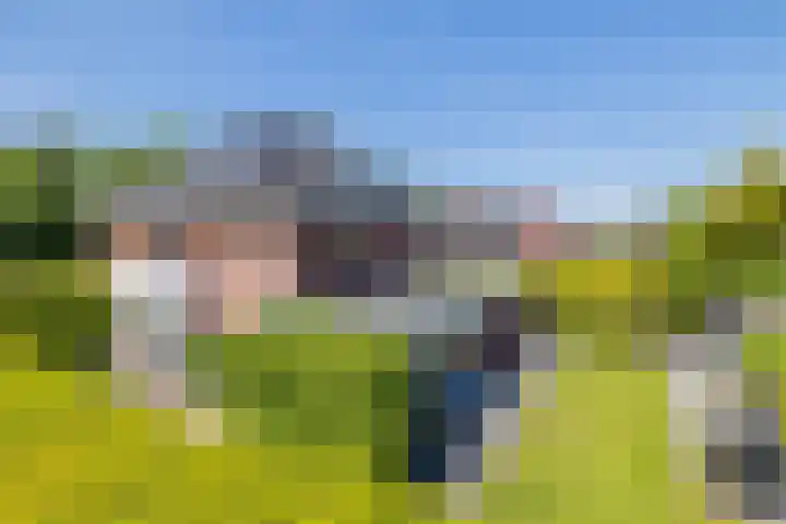 Sadelijnstraat 15 Wildervank thumbnail 37