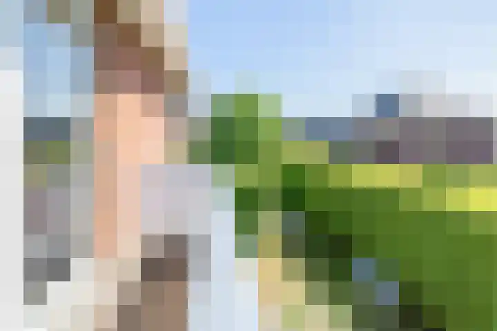 Sadelijnstraat 15 Wildervank thumbnail 41