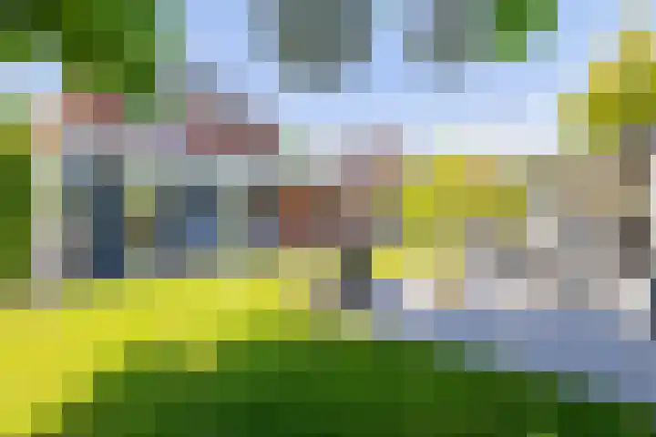 Sadelijnstraat 15 Wildervank thumbnail 5