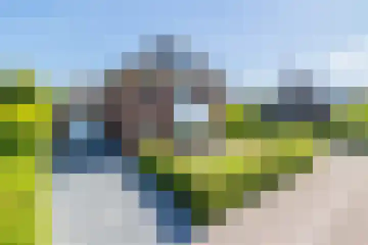 Sadelijnstraat 15 Wildervank thumbnail 6