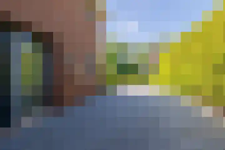 Sadelijnstraat 15 Wildervank thumbnail 8
