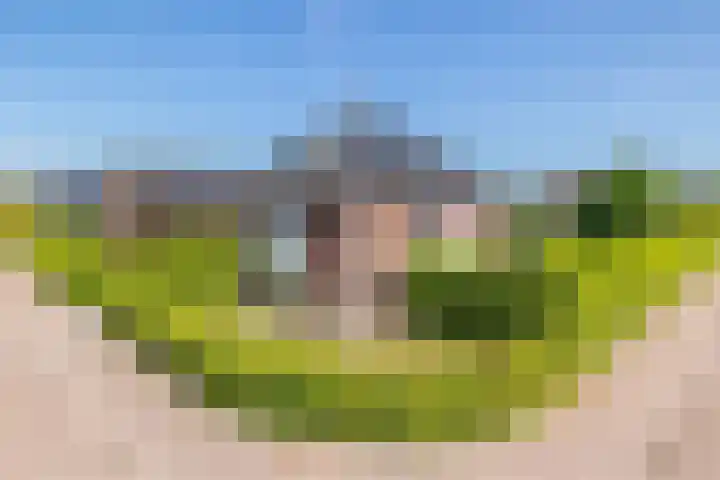 Sadelijnstraat 15 Wildervank thumbnail 9