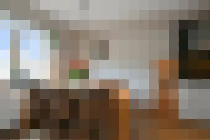 Saendelverlaan 143 Assendelft thumbnail 10