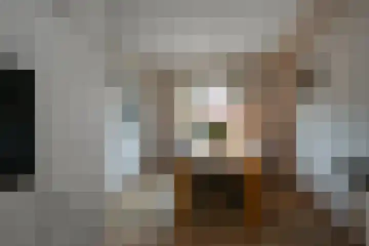 Saendelverlaan 143 Assendelft thumbnail 12
